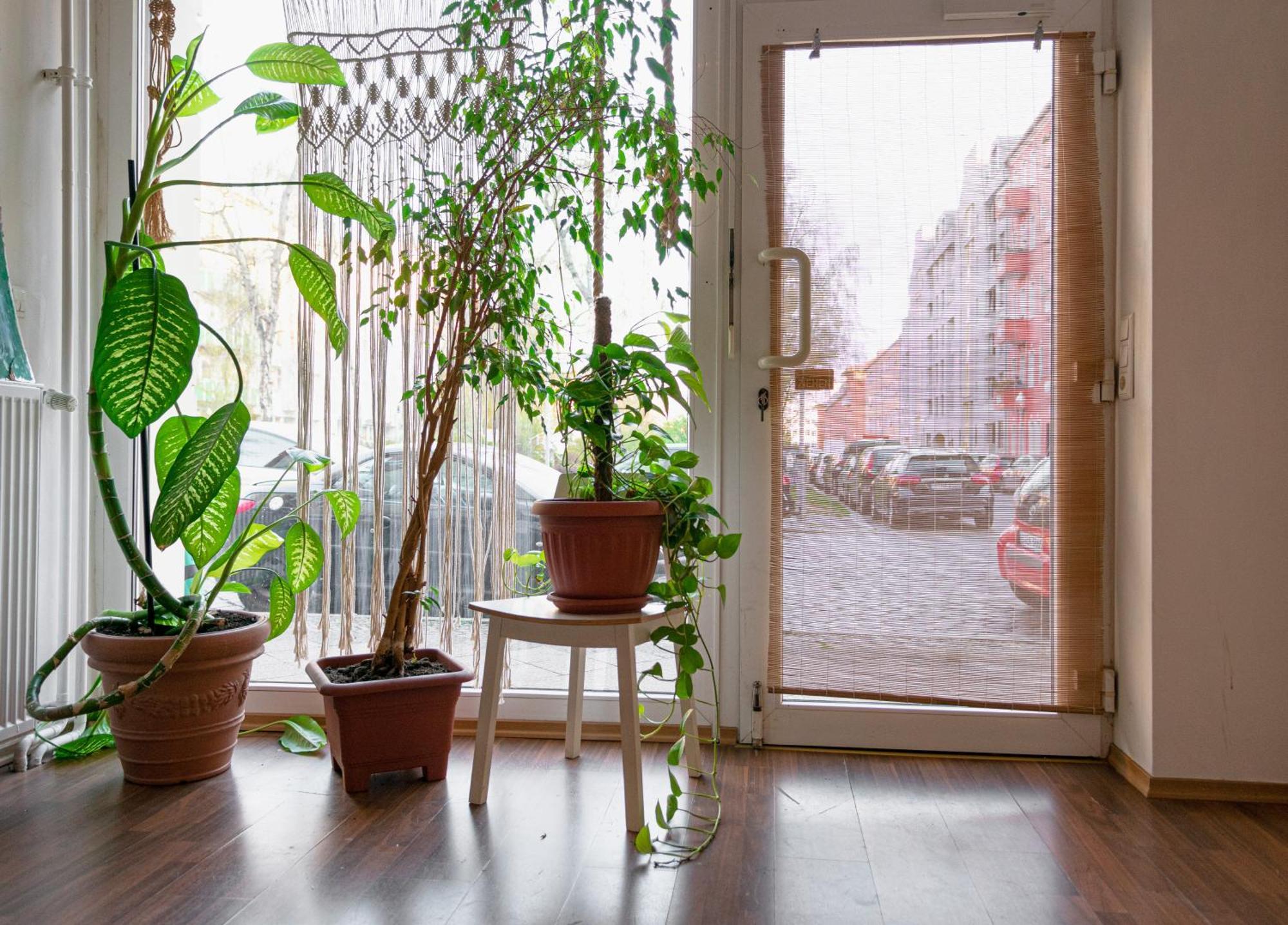 Appartement Boutique Altbau